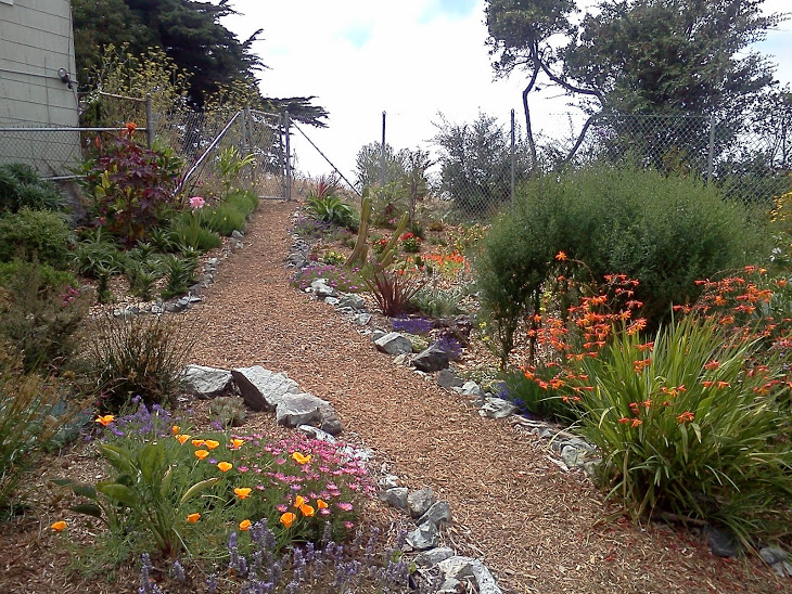 Benches Garden | Portrero Hill