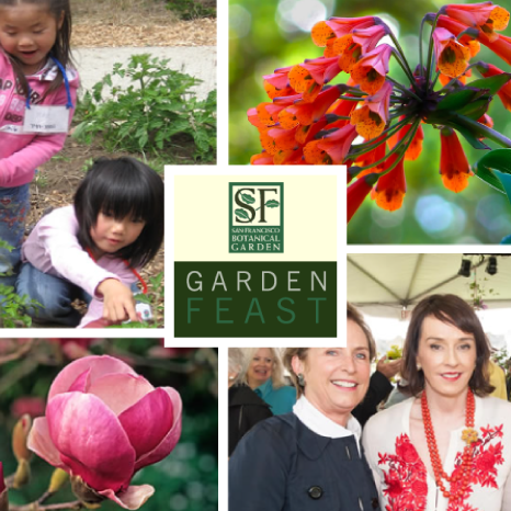Garden Feast | SF Botanical Garden