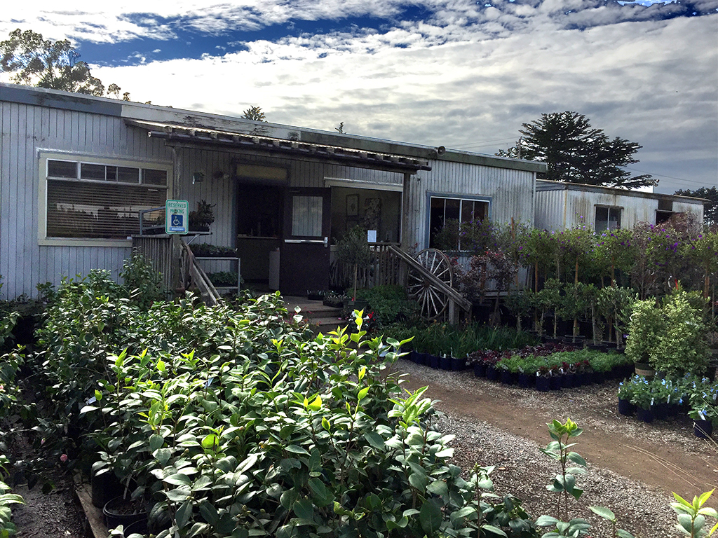 Colma Growing Grounds Sales Office | Pacific Nurseries
