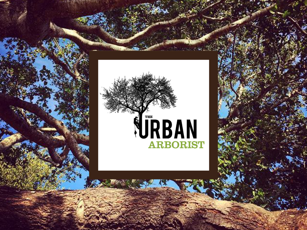 The Urban Arborist | Pacific Nurseries