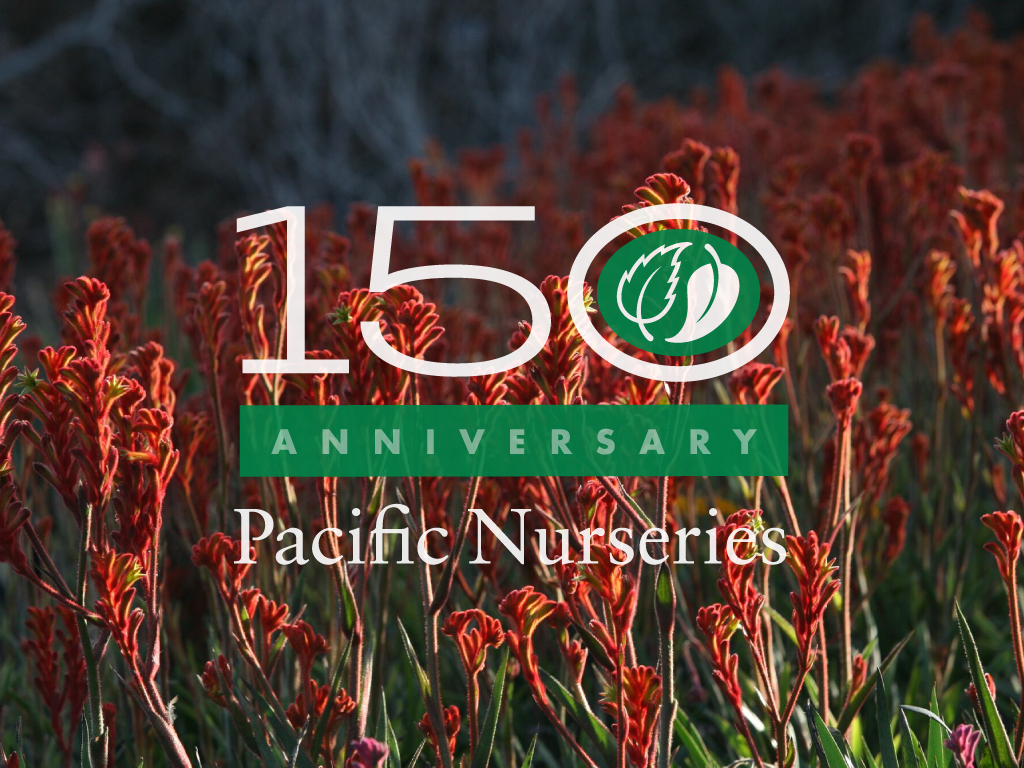 150 Year Anniversary Celebration | Pacific Nurseries