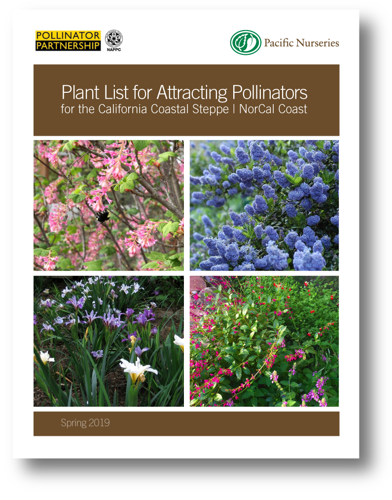 Plant List for Pollinators | Pacific Nurseries
