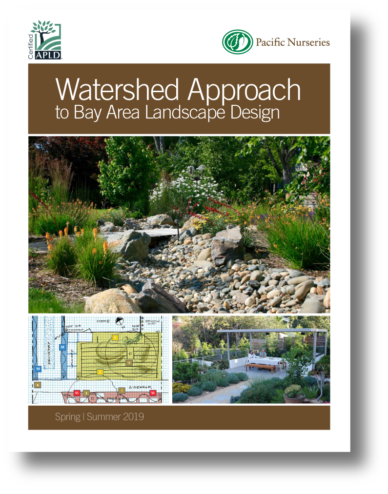 Watershed Approach to Landscape Design | Pacific Nurseries