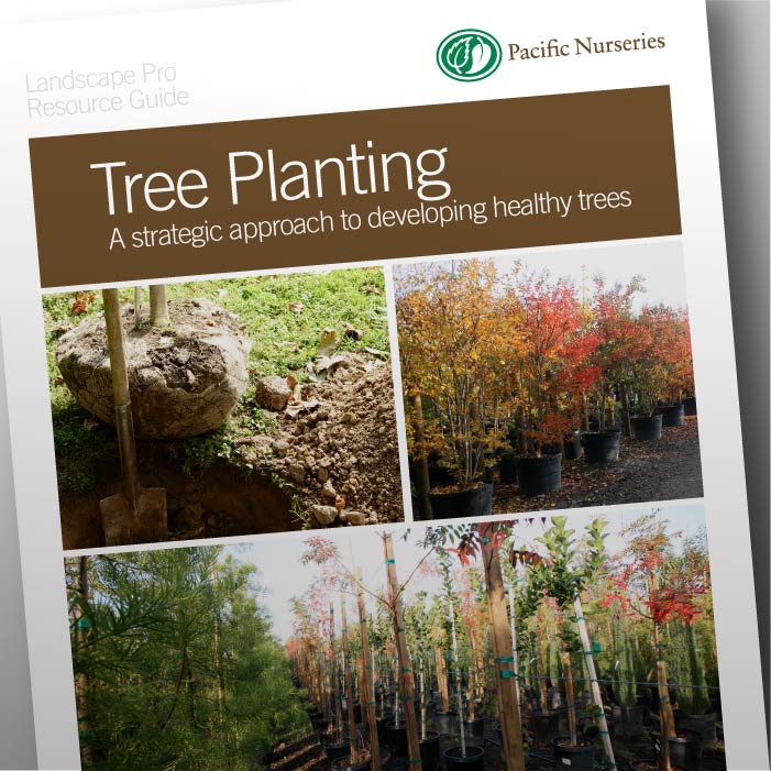 Landscape Pro Learning Resources | Pacific Nurseries