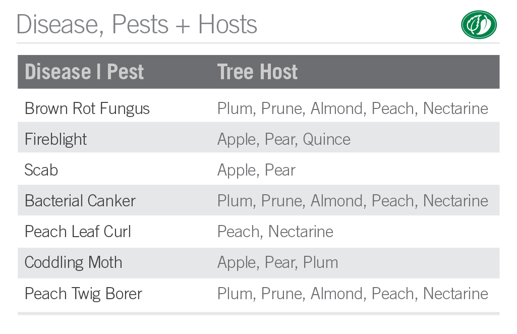Fruit Tree diseases + pests | Pacific Nurseries