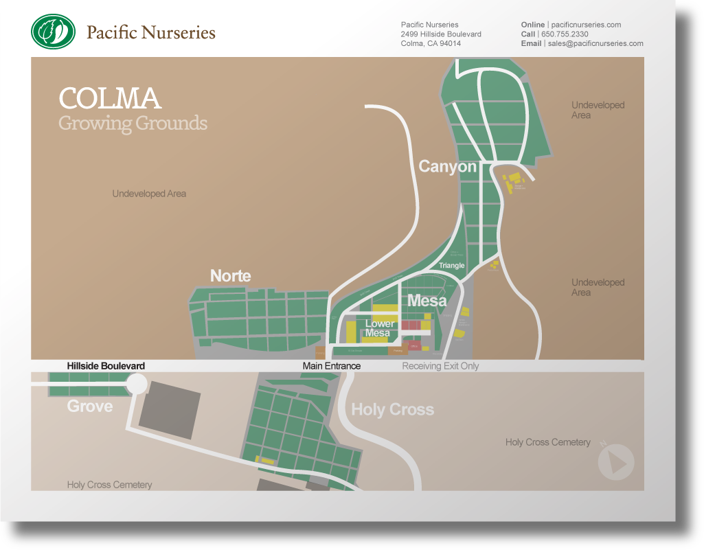 Finding plants in Colma | Pacific Nurseries