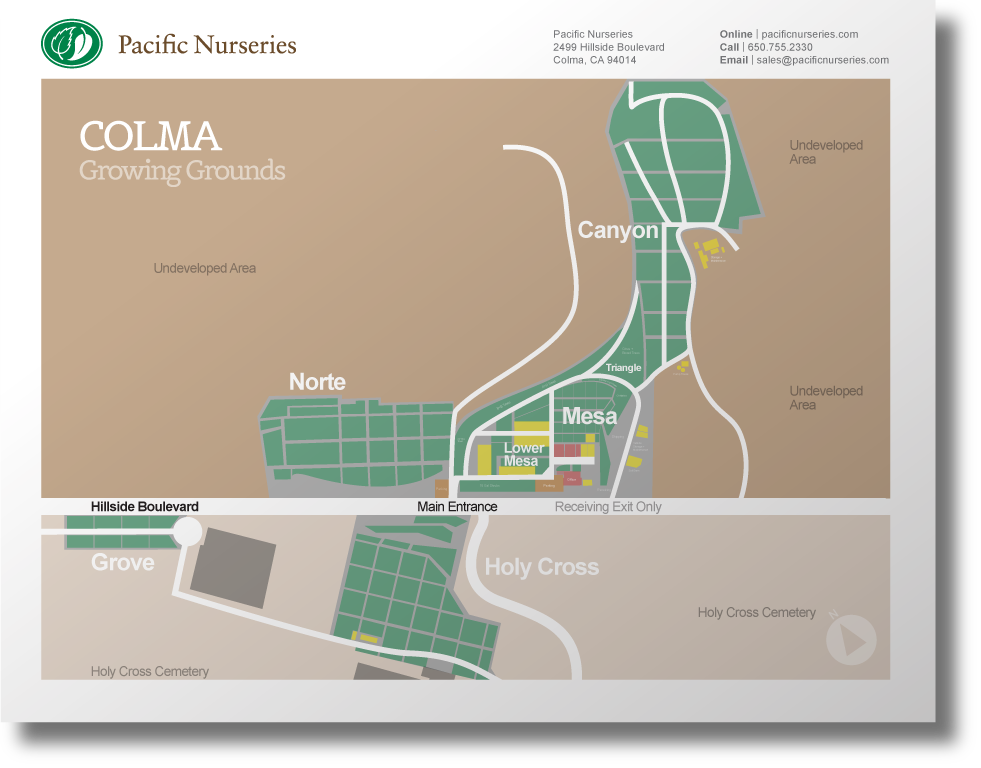Download Colma Growing Grounds Map | Pacific Nurseries