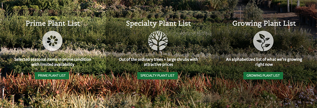Plant Lists | Pacific Nurseries