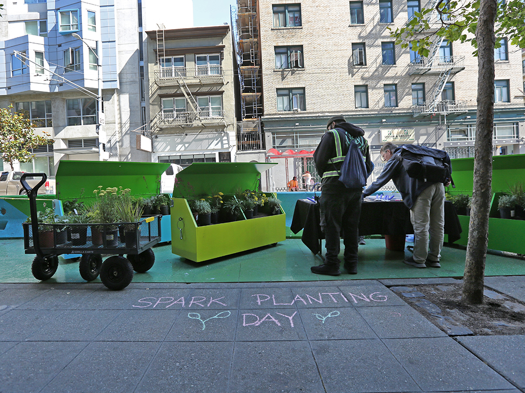 Planting day at Spark | Pacific Nurseries
