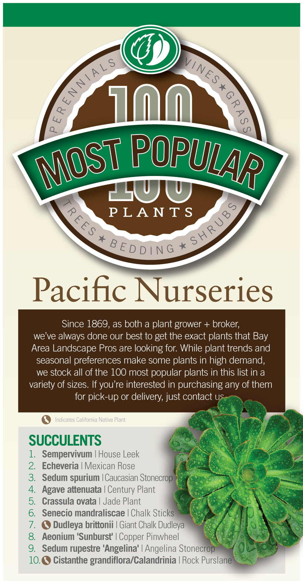 100 most popular plants used by Pros | Pacific Nurseries