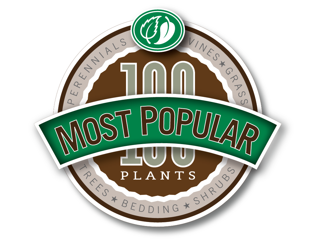 100 Most Popular Plants | Pacific Nurseries