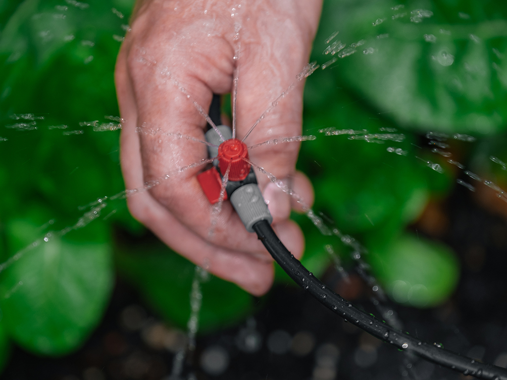 Water is a key component that impacts plant success | Pacific Nurseries