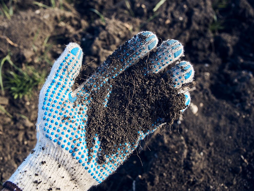 Soil quality is a key component that impacts plant success | Pacific Nurseries