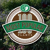 Most Popular Plants | Pacific Nurseries