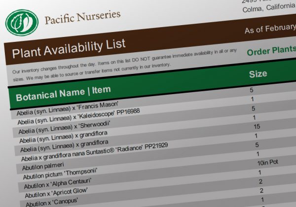 Plant Availability List | Pacific Nurseries