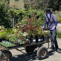 Become a Customer | Pacific Nurseries