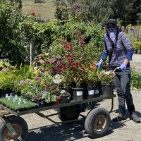 How to Become a Customer | Pacific Nurseries