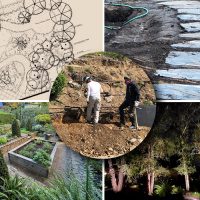 Landscape Pro Case Studies | Pacific Nurseries