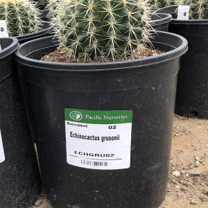 Updated Plant Labels | Pacific Nurseries